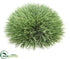 Silk Plants Direct Pine Grass Half Dome - Green Frosted - Pack of 8