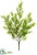 Cedar Bush - Green Frosted - Pack of 6