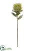 Silk Plants Direct Protea Spray - Green Light - Pack of 12