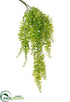Silk Plants Direct Soft Curly Fern Hanging Bush - Green Light - Pack of 24
