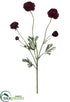 Silk Plants Direct Ranunculus Spray - Burgundy - Pack of 6