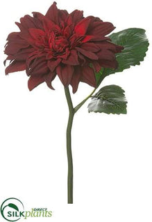 Dahlia Spray - Burgundy - Pack of 12