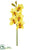 Cymbidium Orchid Spray - Yellow Burgundy - Pack of 6