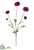 Ranunculus Spray - Purple - Pack of 6