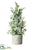 Tree - Green Gray - Pack of 4