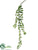 Kalanchoe Spike Hanging Spray - Green - Pack of 12