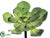 Flocked Echeveria - Moss Green - Pack of 12