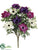 Anemone Bush - Purple Fuchsia - Pack of 12