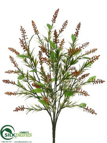 Astilbe Bush - Orange Two Tone - Pack of 12