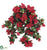 Azalea Hanging Bush - Red - Pack of 6