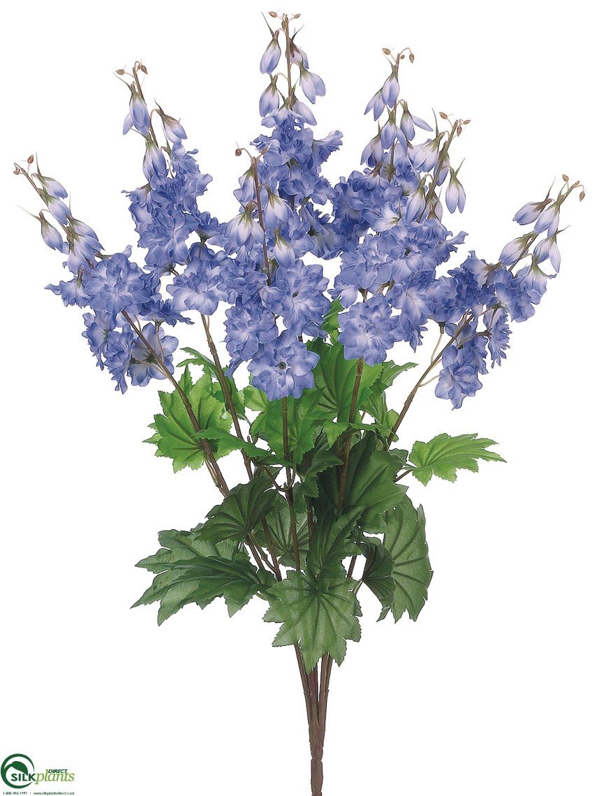 Delphinium Bush Purple Pack of 12 (CUP304DBFS