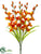 Gladiolus Bush - Orange - Pack of 12