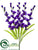 Gladiolus Bush - Purple Violet - Pack of 12