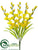 Gladiolus Bush - Yellow - Pack of 12