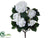 Hydrangea Bush - White - Pack of 6