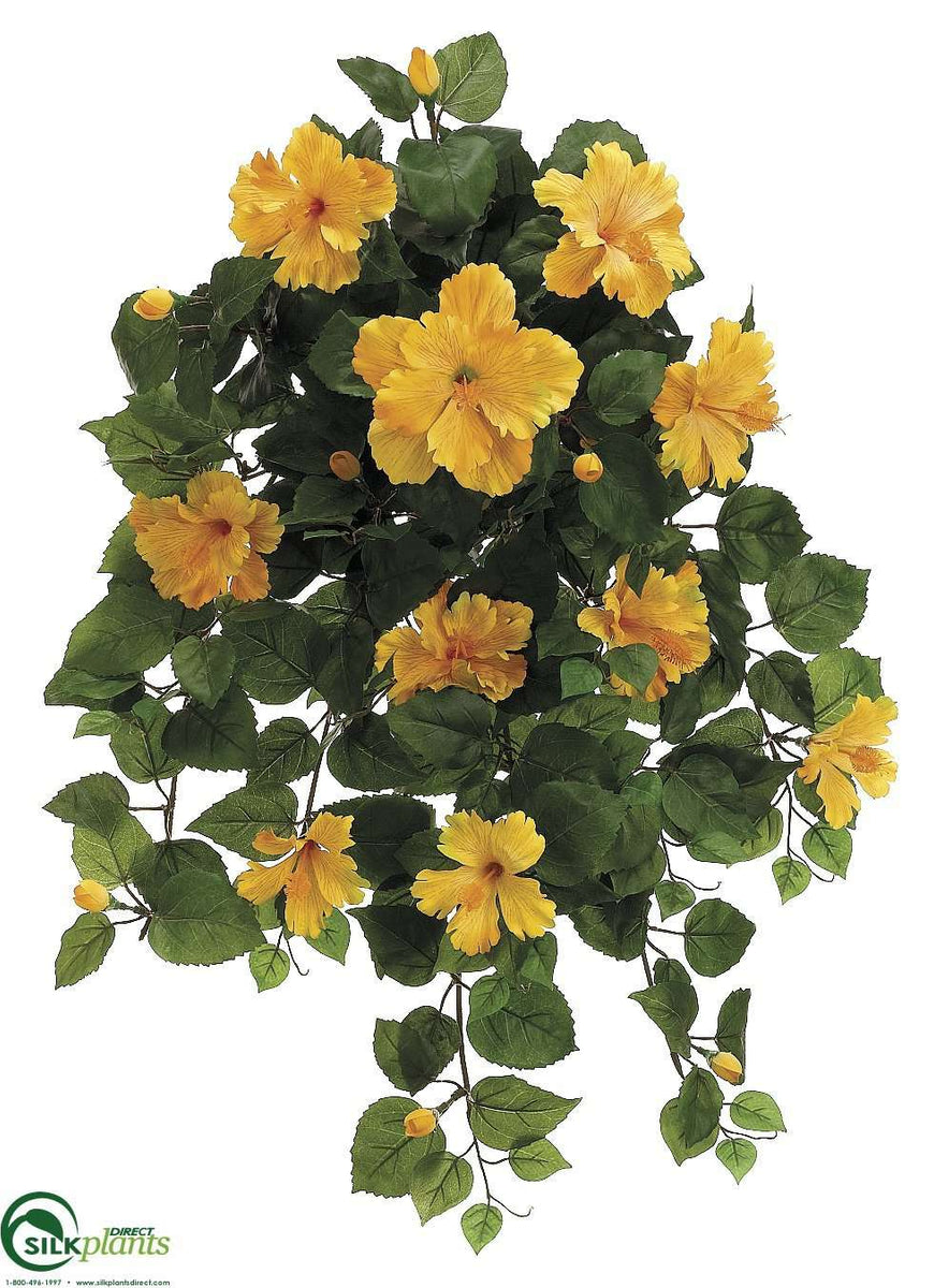 Hibiscus Hanging Bush - Yellow - Pack of 4 - (CEY-612HBFS