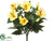 Hibiscus Bush - Yellow - Pack of 6