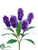Hyacinth Bush - Purple Two Tone - Pack of 12