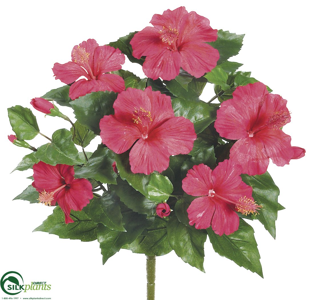 Hibiscus Bush Yellow Pack of 12 (CEY388HBFS) silkplantsdirect