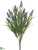Muscari Bush - Lavender - Pack of 12