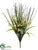 Oncidium Orchid, Grass Bush - White Green - Pack of 12