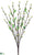 Pussy Willow Bush - Lime - Pack of 12