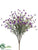 Phlox Bush - Purple Violet - Pack of 12