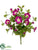 Petunia Bush - Beauty - Pack of 6