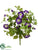 Petunia Bush - Purple - Pack of 6