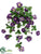 Petunia Hanging Bush - Purple - Pack of 12
