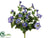 Petunia Bush - Blue Helio - Pack of 12
