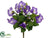 Petunia Bush - Purple White - Pack of 12