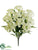 Queen Anne's Lace Bush - Cream - Pack of 6