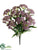 Queen Anne's Lace Bush - Lavender Two Tone - Pack of 6