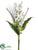 Dendrobium Orchid, Protea Bundle - White Green - Pack of 6