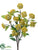Viburnum Bush - Yellow - Pack of 12