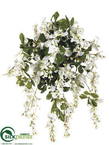 Wisteria Bush - Cream White - Pack of 6