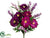 Zinnia, Bellflower Bush - Purple Orchid - Pack of 12