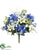 Hydrangea, Cosmos Bush - Blue Cream - Pack of 6
