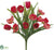 Tulip, Crocus Bush - Beauty Pink - Pack of 12
