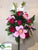 Rose, Orchid Bush - Rust Pink - Pack of 6