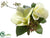 Orchid, Viburnum Berry Corsage - Cream Green - Pack of 24