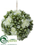Silk Plants Direct Kalanchoe Orb - White - Pack of 6