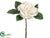 Gardenia Pick - Cream - Pack of 12