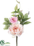 Silk Plants Direct Peony, Ranunculus Pick - Pink Two Tone - Pack of 12
