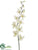 Dendrobium Orchid Spray - Cream White - Pack of 12