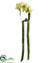 Silk Plants Direct Phalaenopsis Orchid Wrist Corsage - Green Two Tone - Pack of 24