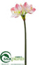 Silk Plants Direct Amaryllis Spray - White Pink - Pack of 12