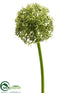 Silk Plants Direct Allium Spray - Green - Pack of 12