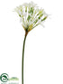 Silk Plants Direct Agapanthus Spray - Cream Green - Pack of 12